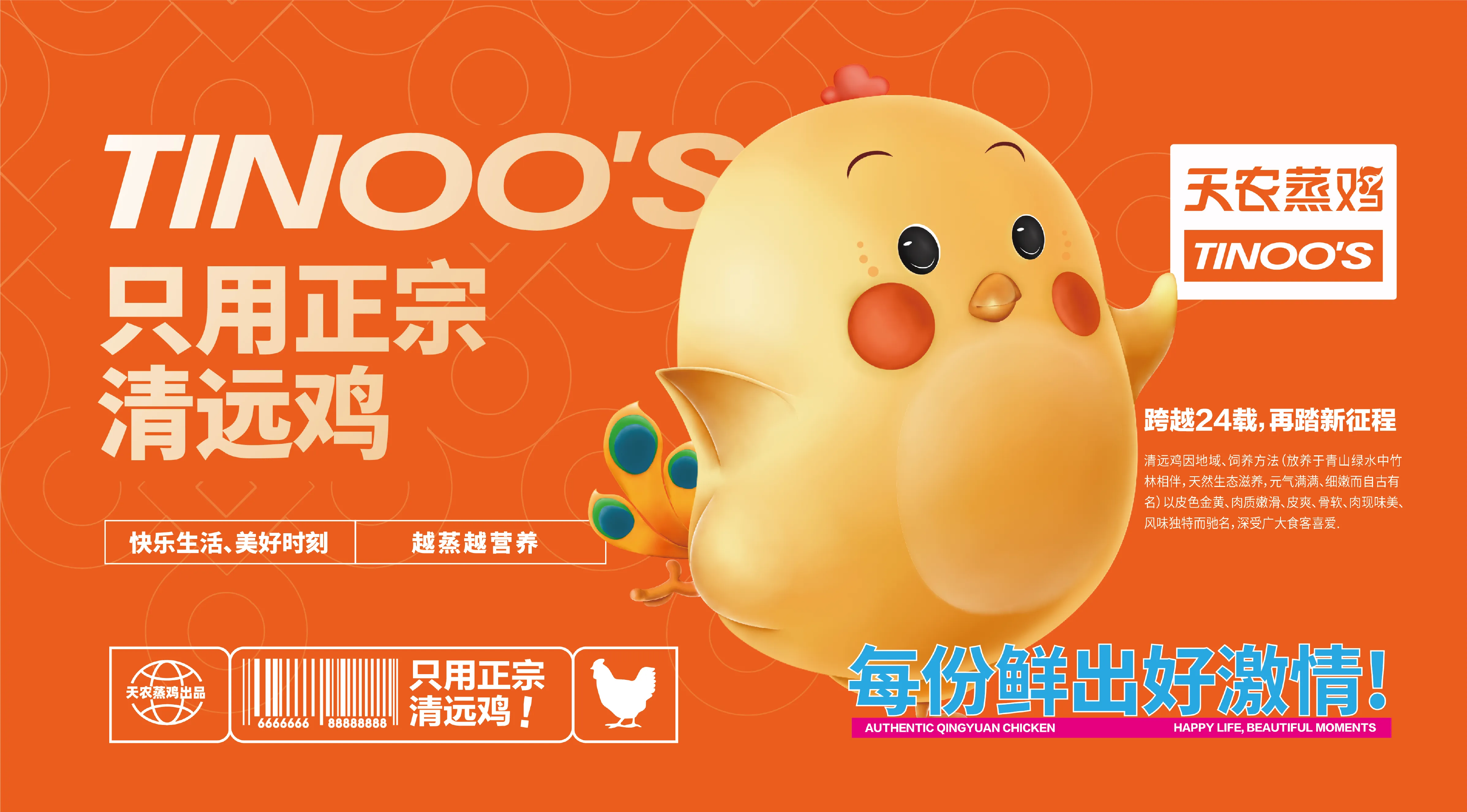 天农蒸鸡项目封面